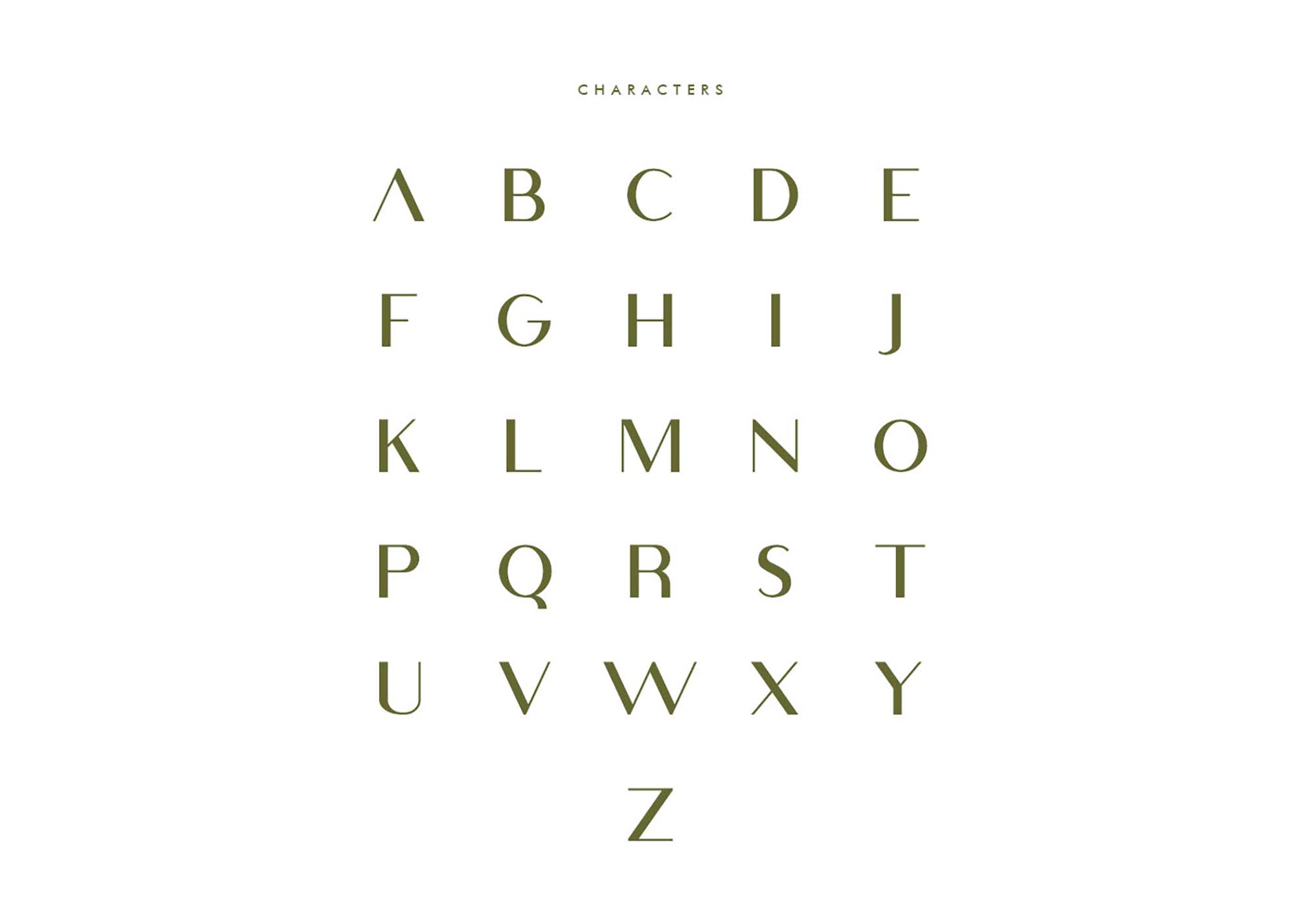Viola Sans Serif Typeface
