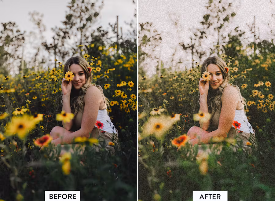 10 Indie Film Lightroom Presets